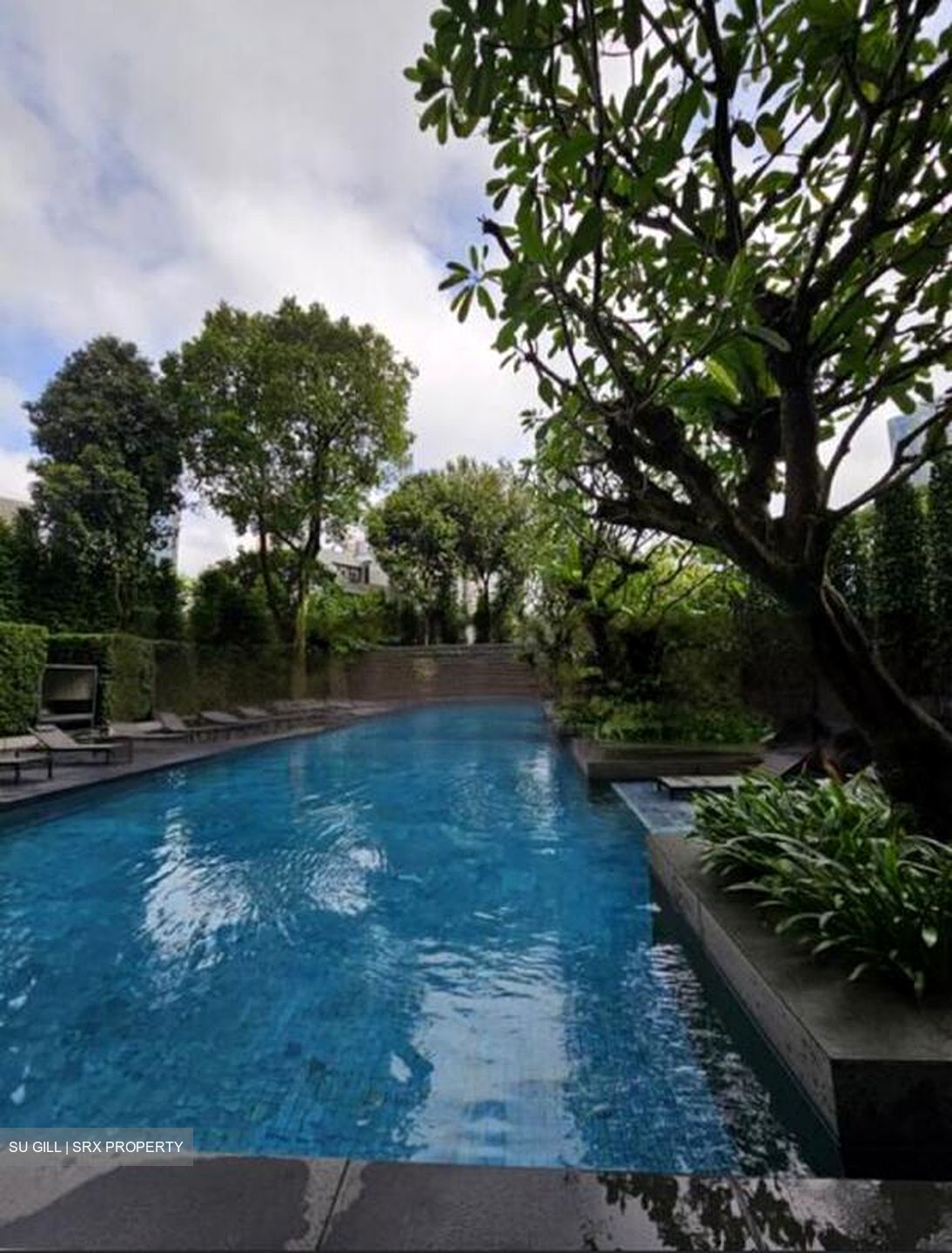 The Marq On Paterson Hill (D9), Condominium #480993231